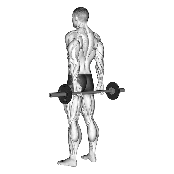 Barbell Behind Back Finger Curl