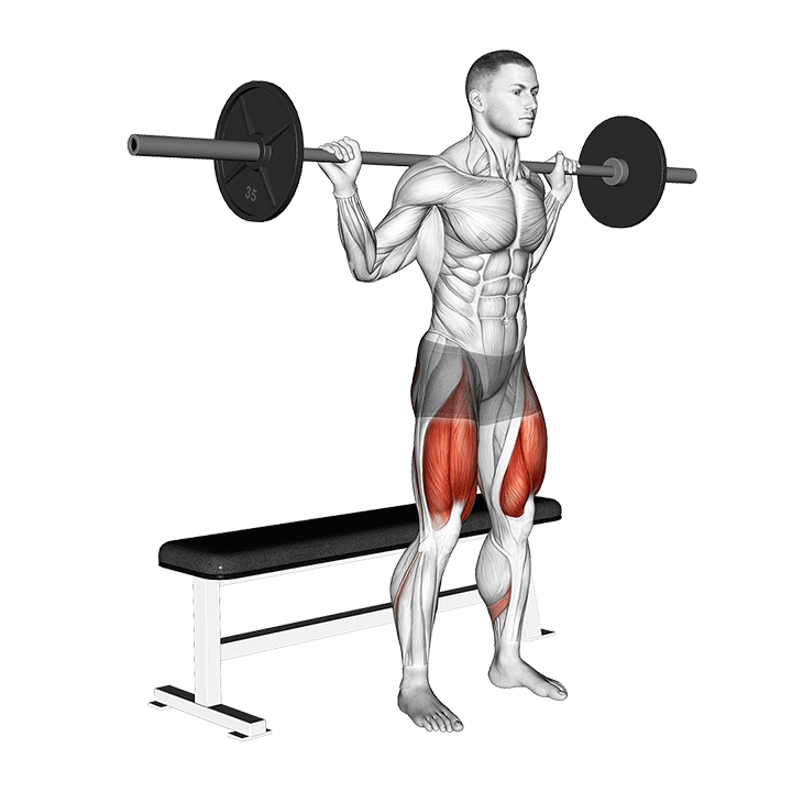 Barbell Bench Squat