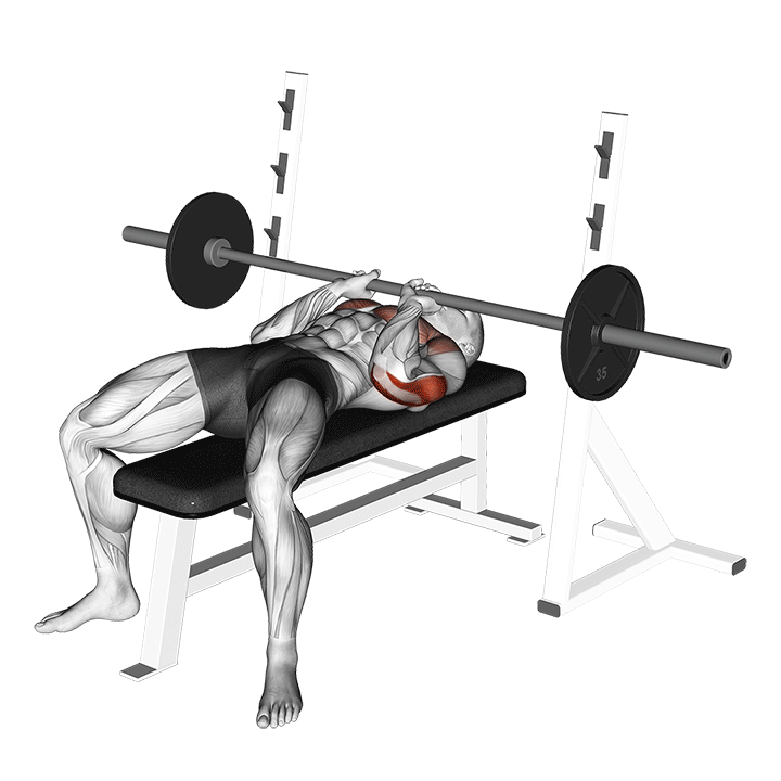 Barbell Close Grip Bench Press