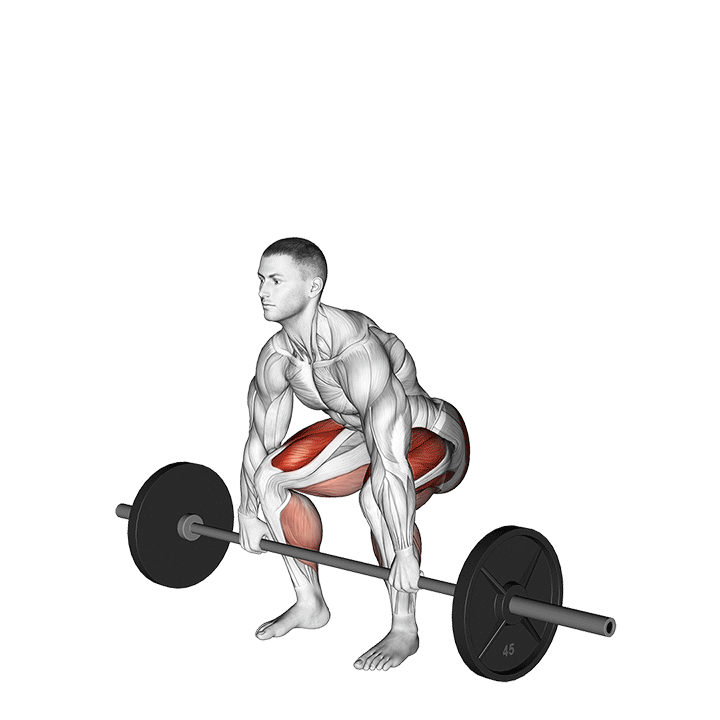 Barbell Deadlift