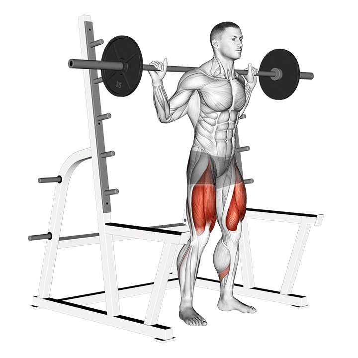 Barbell Low Bar Squat With Rack