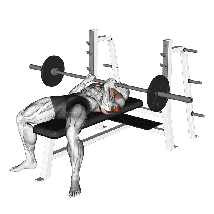 Barbell Reverse Close Grip Bench Press