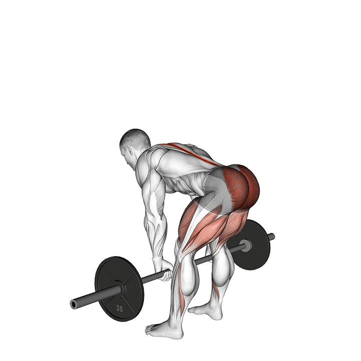 Barbell Romanian Deadlift