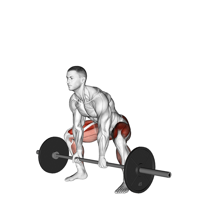 Barbell Sumo Deadlift