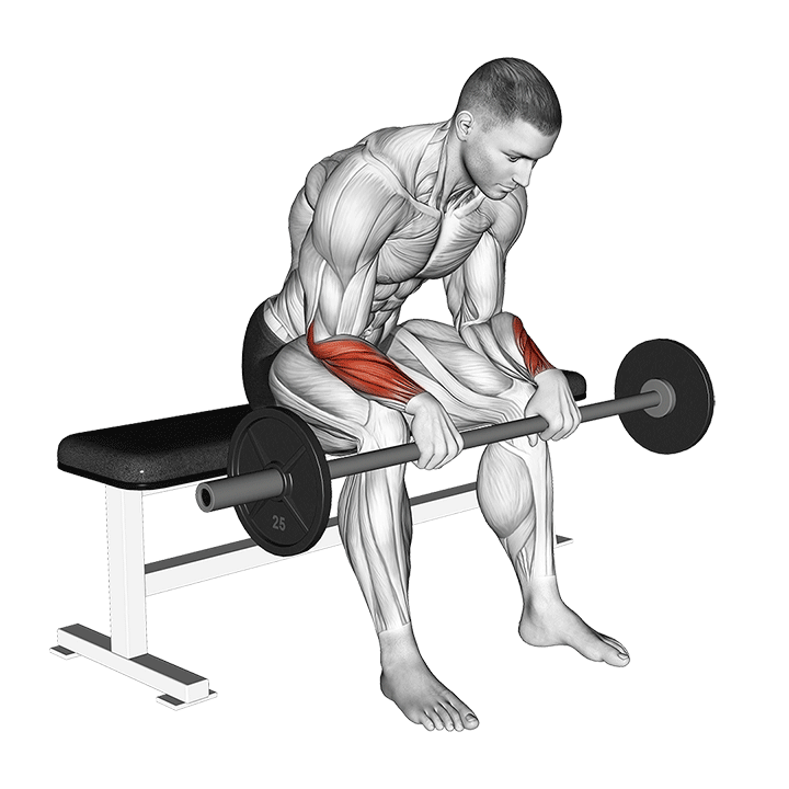 Barbell Wrist Reverse Curl (VERSION 2)
