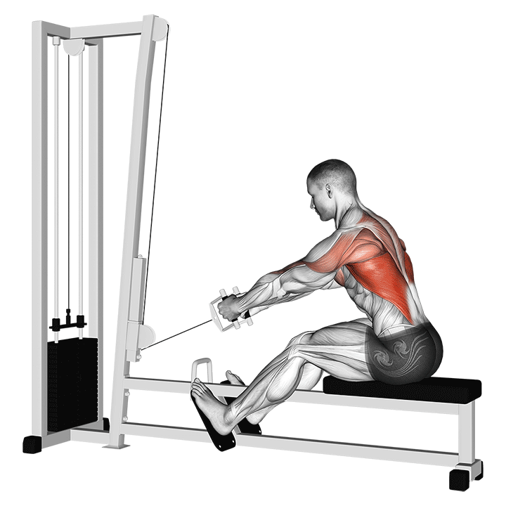 Cable Elevated Row