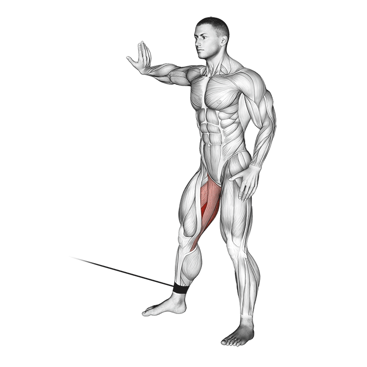 Cable Hip Adduction