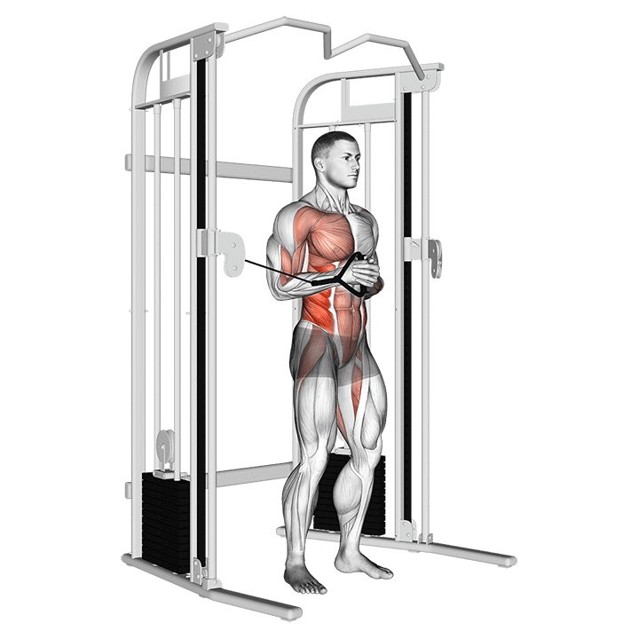 Cable Horizontal Pallof Press