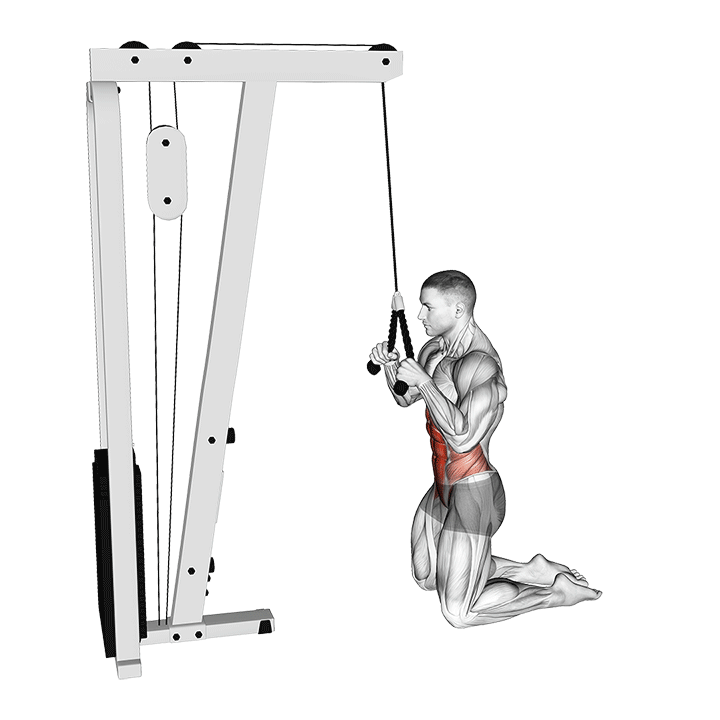 Cable Kneeling Crunch