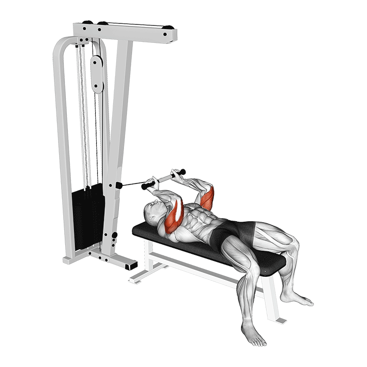 Cable Lying Triceps Extension