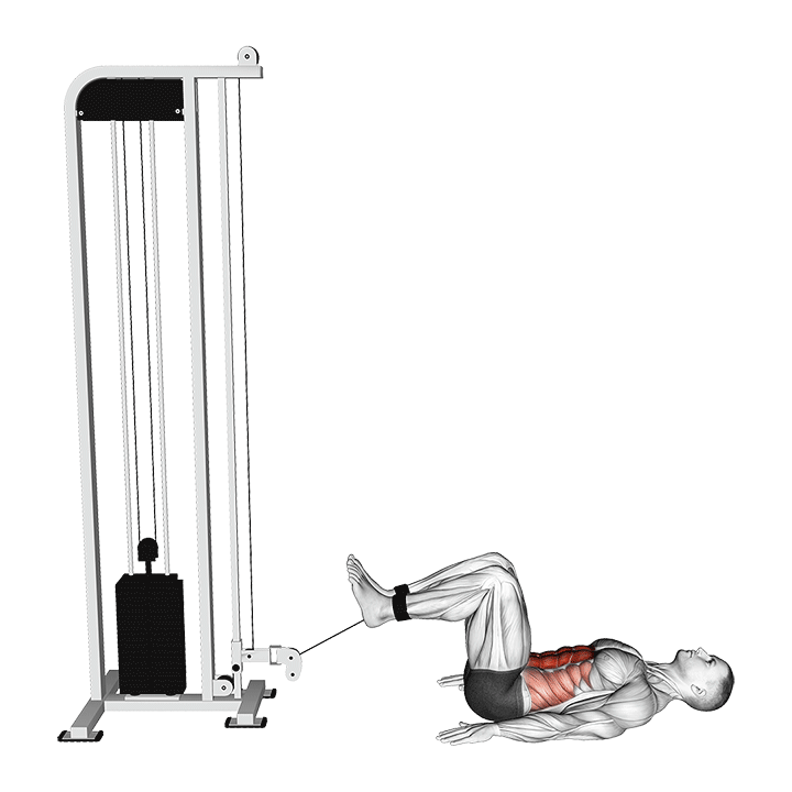 Cable Reverse Crunch