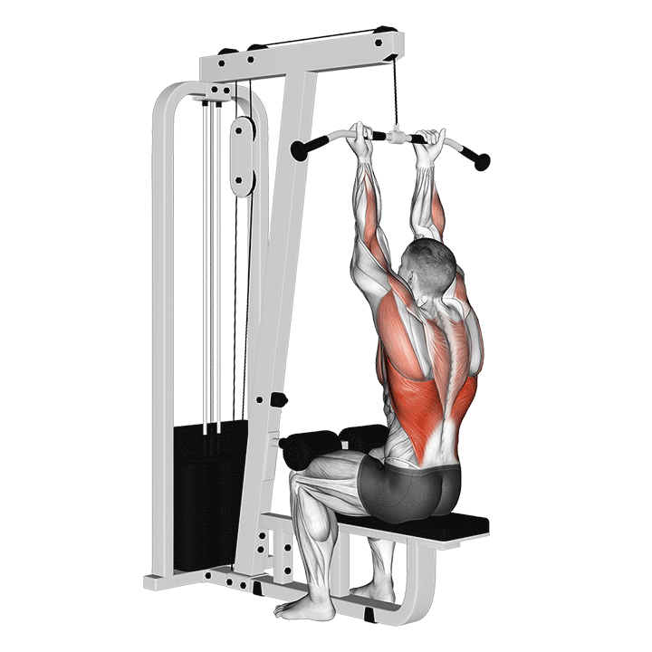 Cable Reverse Grip Straight Back Seated High Row