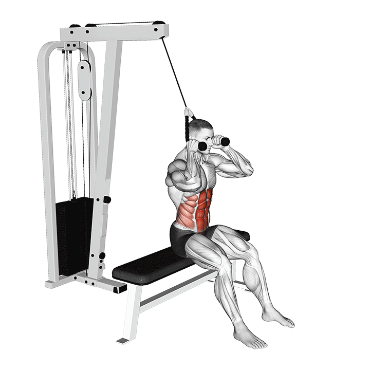 Cable Seated Crunch