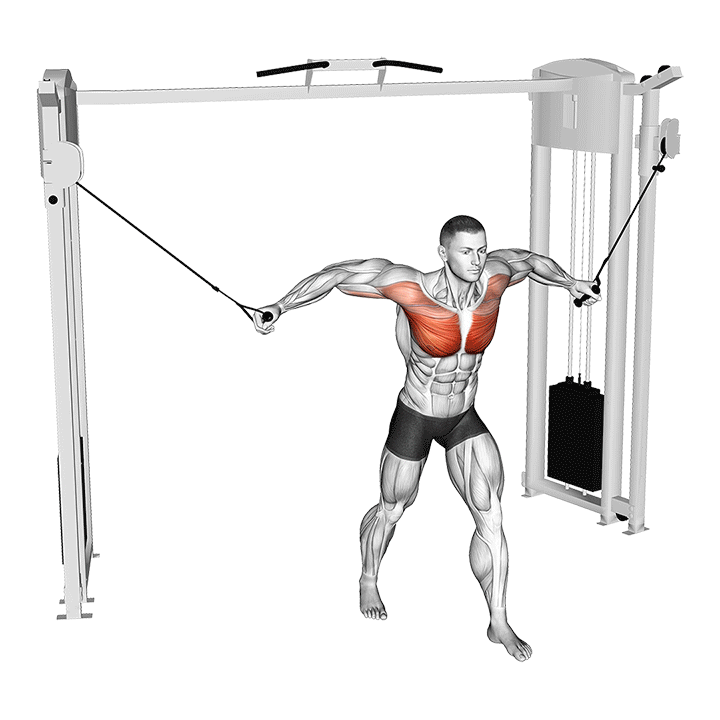 Cable Standing Fly