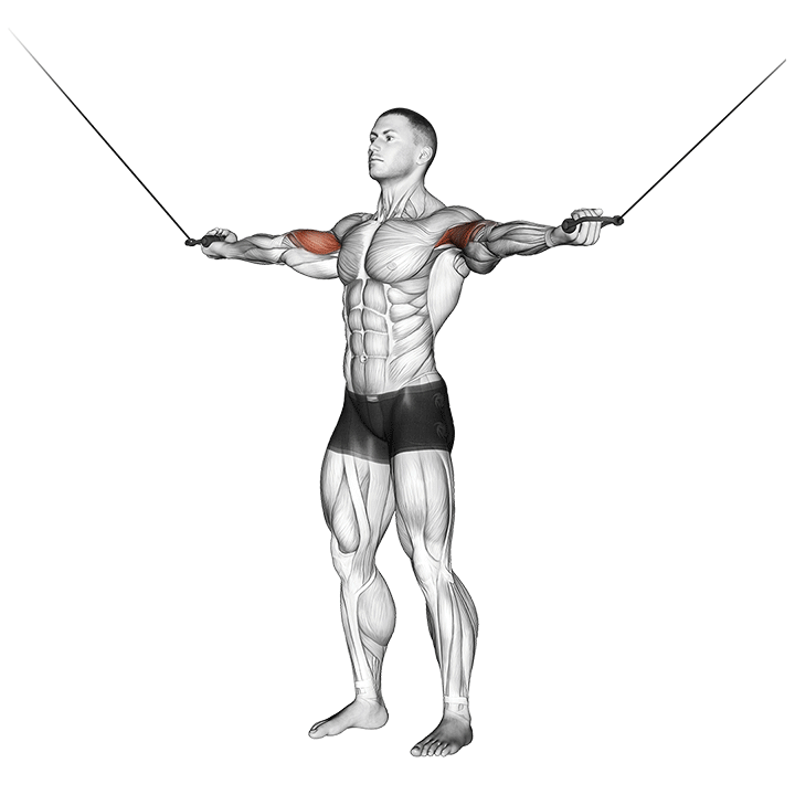 Cable Standing Inner Curl