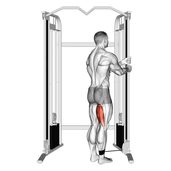 Cable Standing Leg Curl
