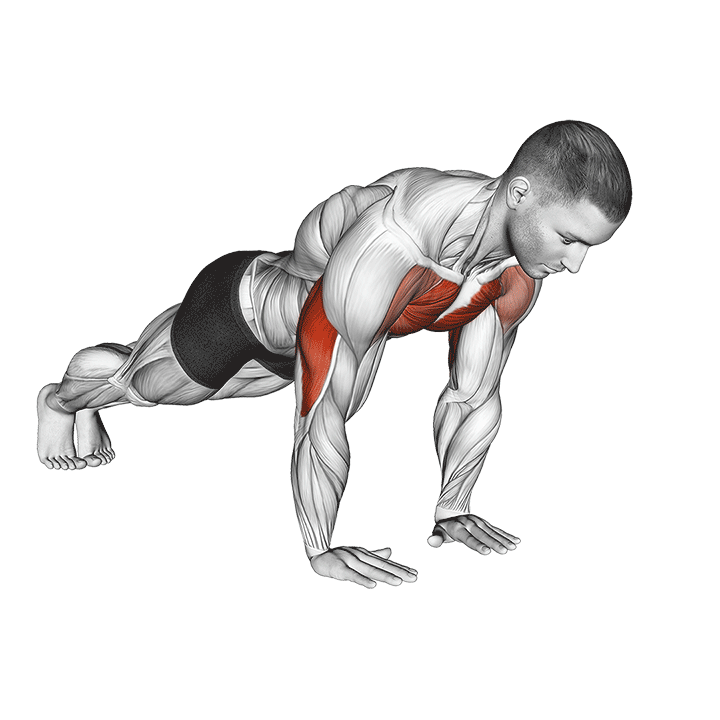Close Grip Push-Up