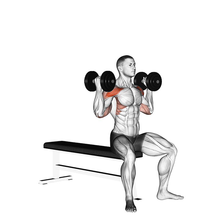 Dumbbell Arnold Press II
