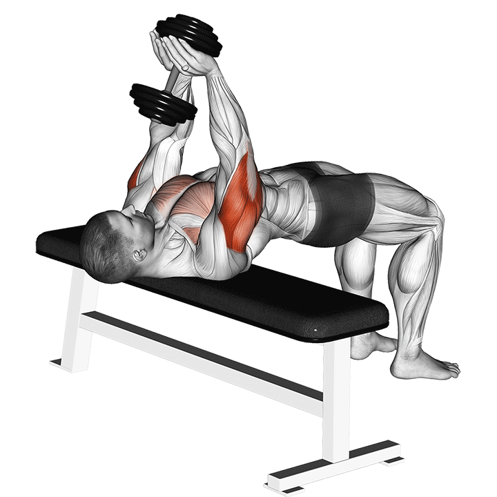 Dumbbell Close Grip Press