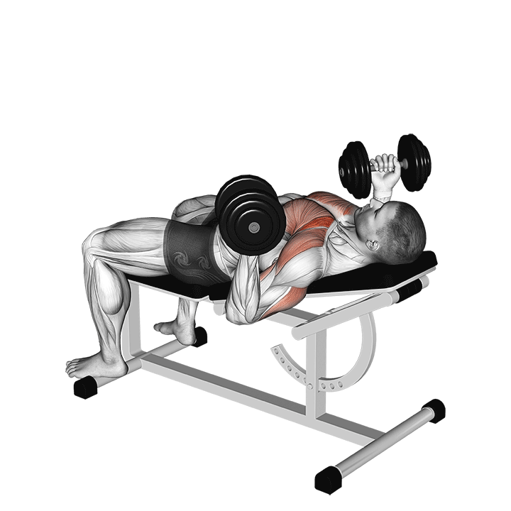 Dumbbell Incline Reverse Grip 30° Bench Press