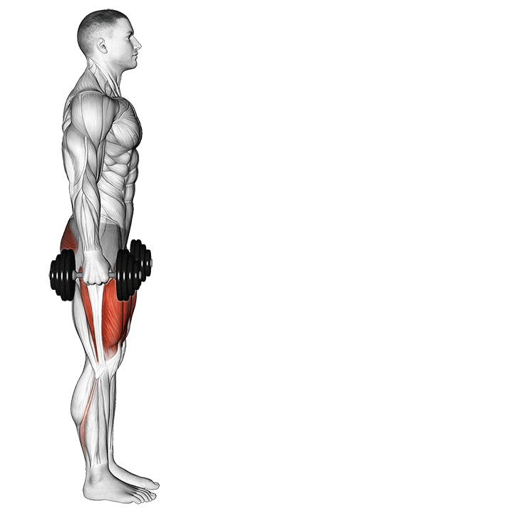 Dumbbell Lunge