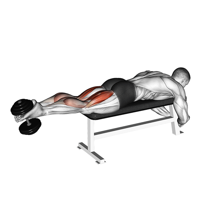 Dumbbell Lying Femoral