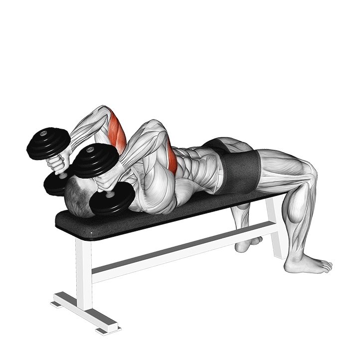Dumbbell Lying Triceps Extension