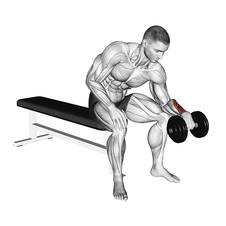 Dumbbell One Arm Reverse Wrist Curl