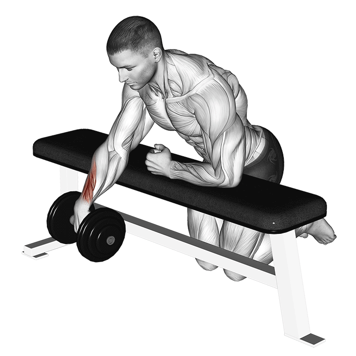 Dumbbell Over Bench One Arm Wrist Curl