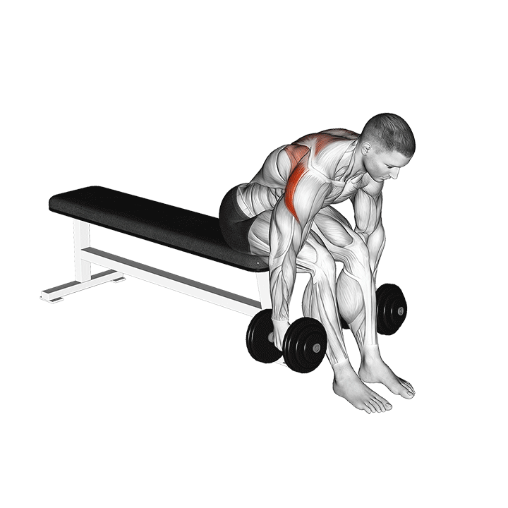 Dumbbell Rear Fly