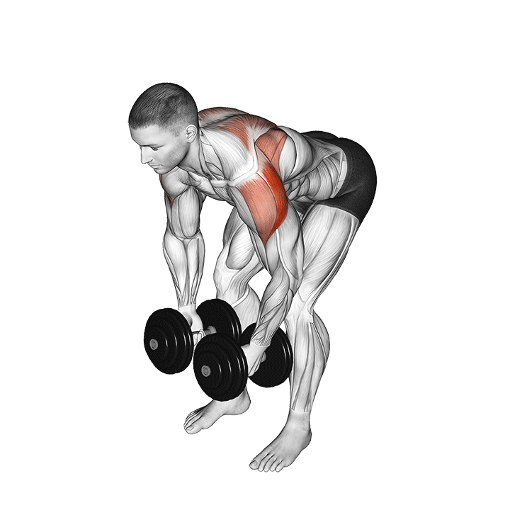 Dumbbell Rear Lateral Raise