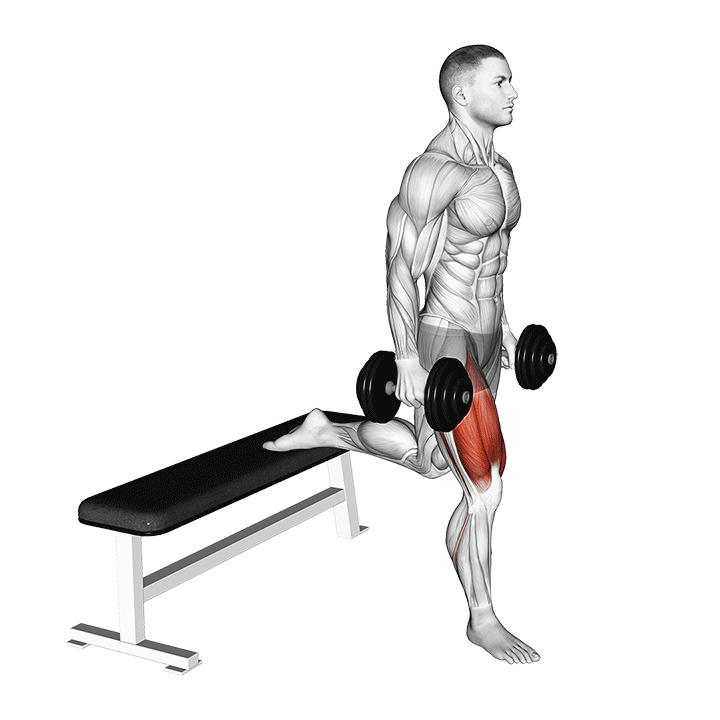 Dumbbell Single Leg Split Squat