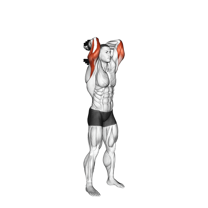 Dumbbell Standing Triceps Extension