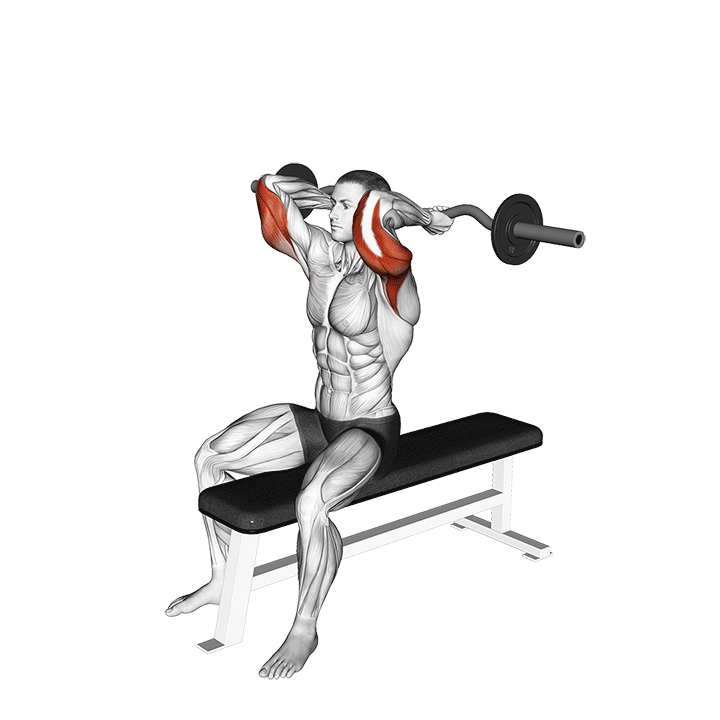 EZ Barbell Seated Triceps Extension