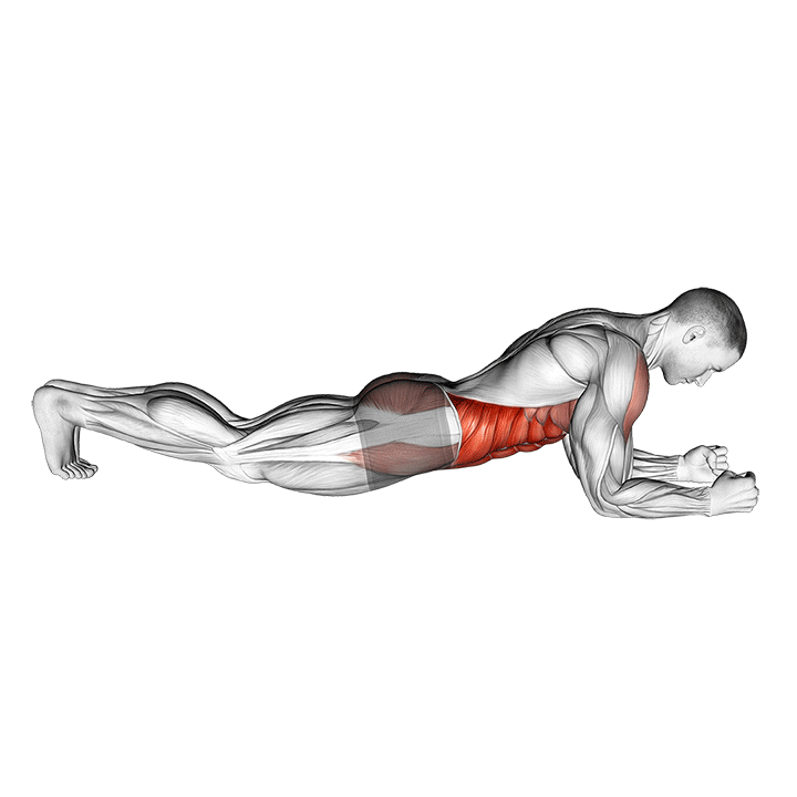 Front Plank