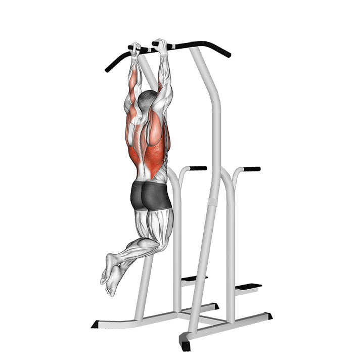Hammer Grip Pull-Up On Dip Cage