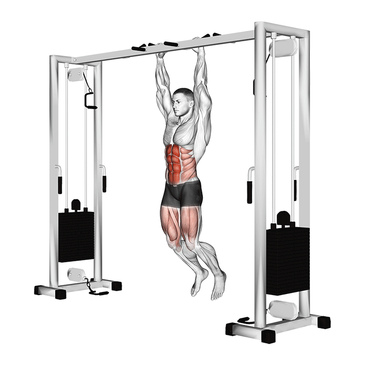 Hanging Straight Leg Hip Raise