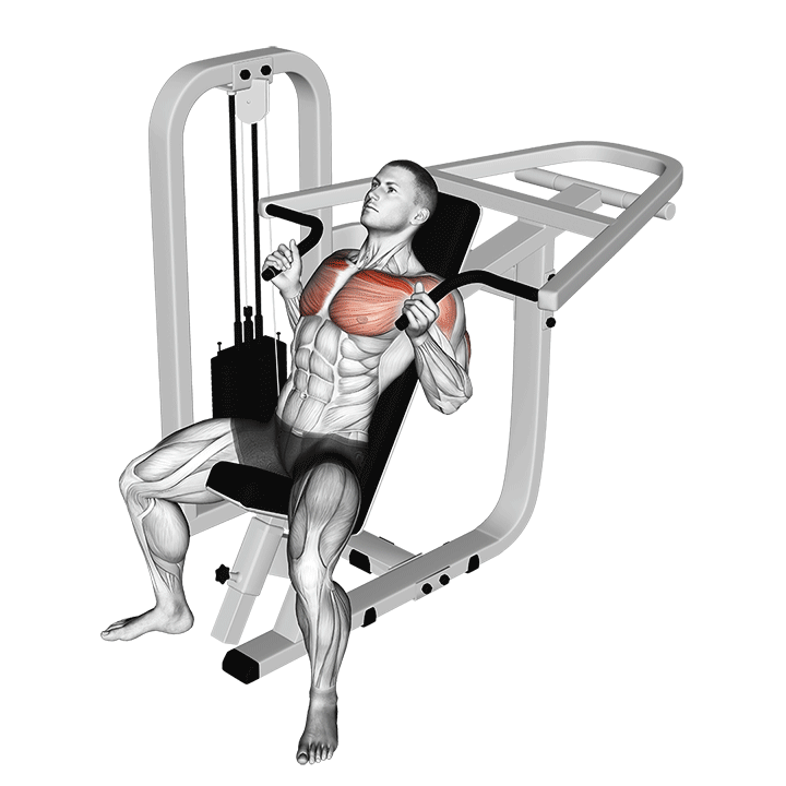 Lever Incline Hammer Chest Press