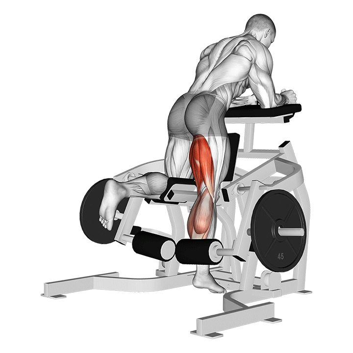 Lever Kneeling Leg Curl (Plate Loaded)