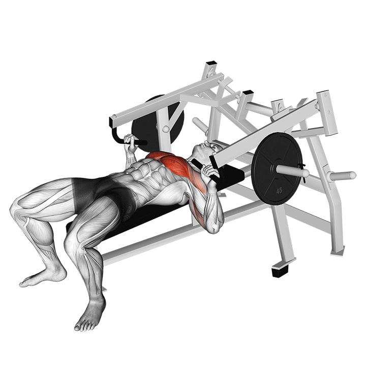 Lever Lying Chest Press (Plate Loaded)