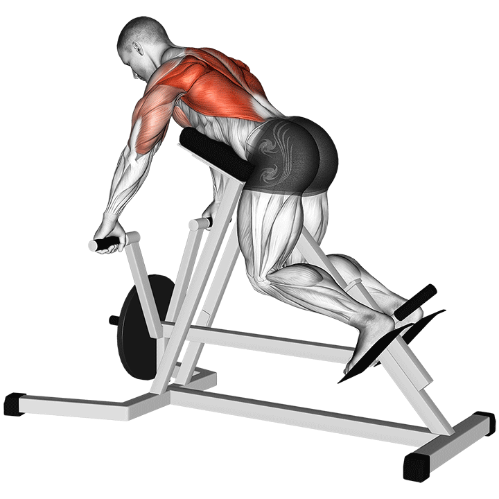 Lever Lying T-Bar Row