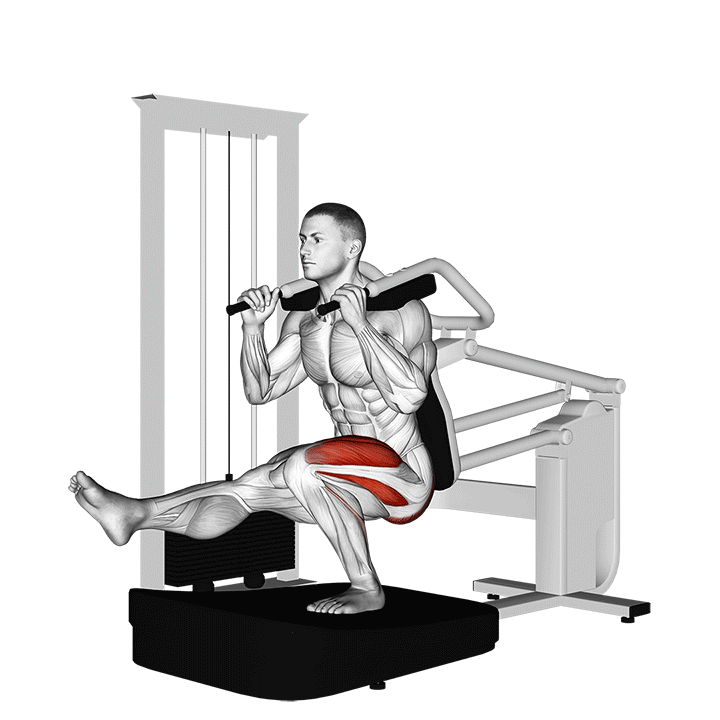 Lever Pistol Squat