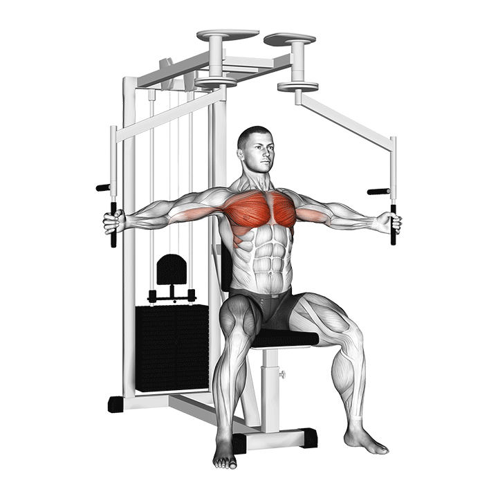 Lever Seated Fly