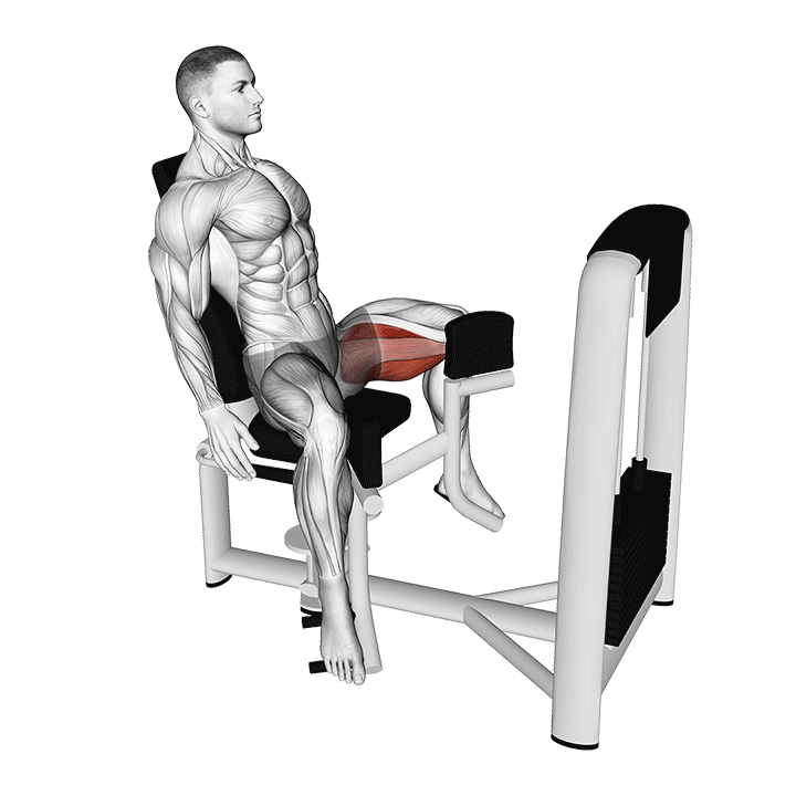 Lever Seated Hip Adduction
