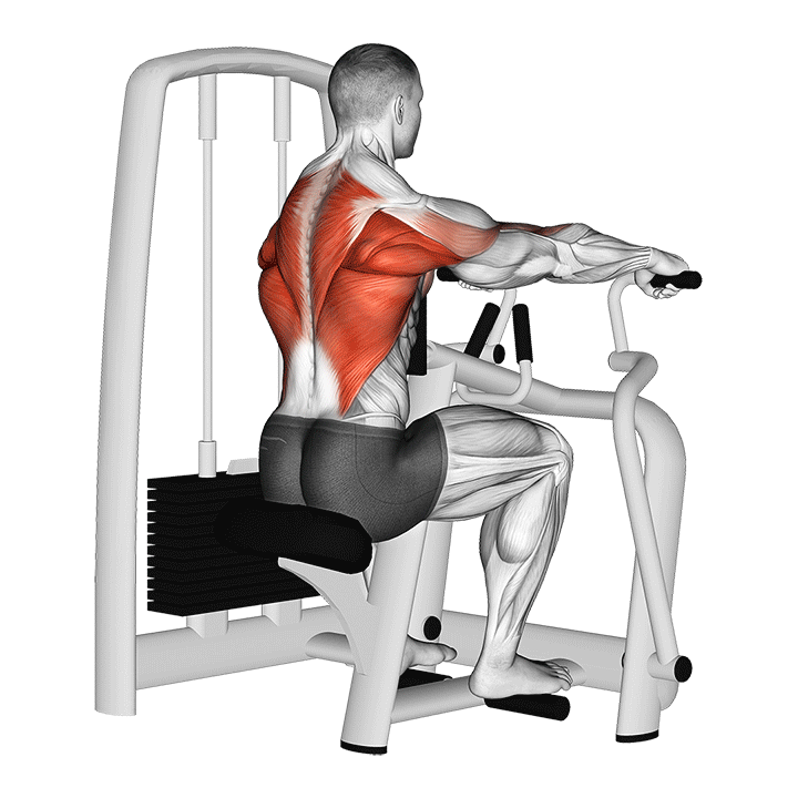 Lever Seated Row