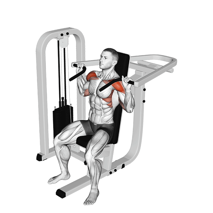 Lever Seated Shoulder Press