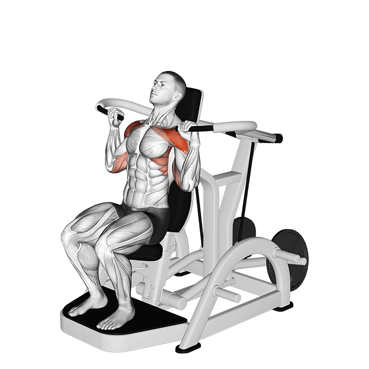 Lever Shoulder Press (Plate Loaded) Version 3