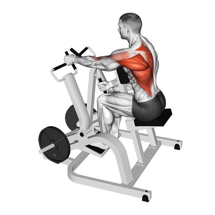 Lever Single Arm Neutral Grip Seated Row (Plate Loaded)