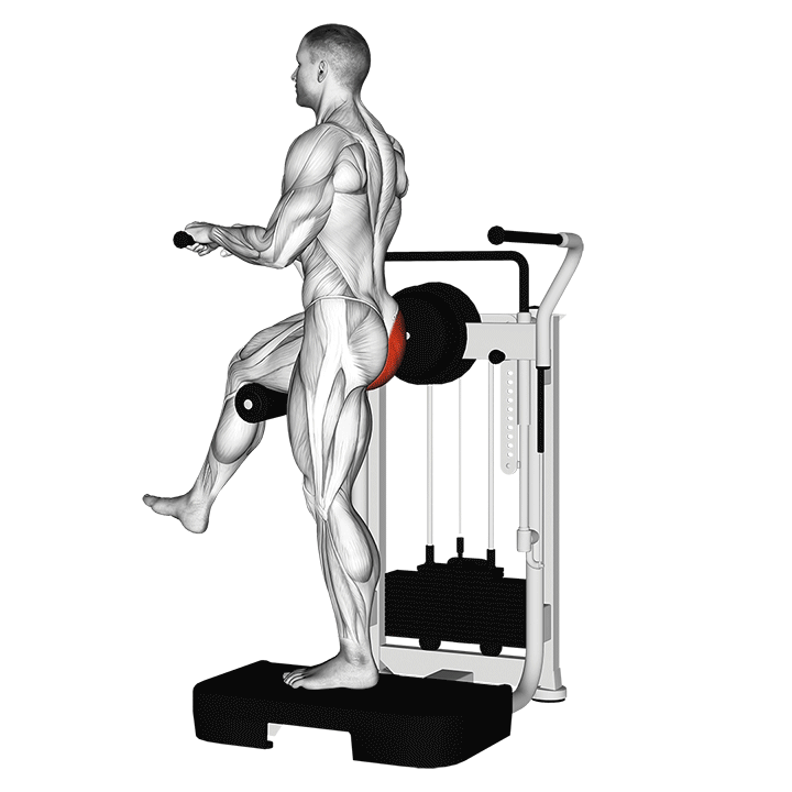 Lever Standing Rear Kick