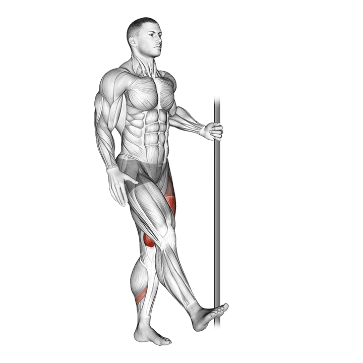 Single Leg Squat With Support (Pistol)